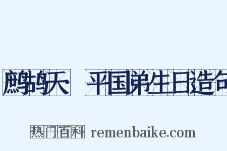 鹧鸪天·平国弟生日造句是什么意思的图片